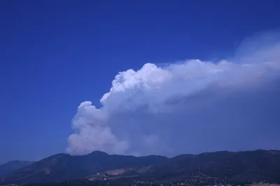 DSC_1856 (Large).JPG